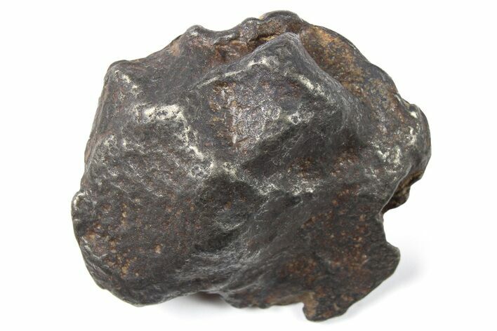 Gebel Kamil Iron Meteorite ( g) - Egypt #265428